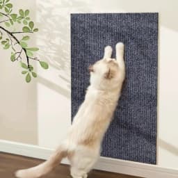 Self-Adhesive Anti Cat Scratch Sofa DIY Cats Scratch Protection Paws Sharpen Trimmable Carpet Cats Scratch Board Roll Shipment
