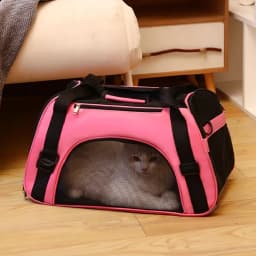 Pet Travel Bag Airline Approved Luggage Bag Pet Travel Carry Bag Suitable for Small Dogs Cats and Puppies Small Animals