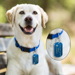 Metal Military Dog ID Tag Dog Accessories Customized Engraved Cat Puppy Name Tag Phone No. for Medium Large Pet Labrador