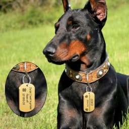 Metal Military Dog ID Tag Dog Accessories Customized Engraved Cat Puppy Name Tag Phone No. for Medium Large Pet Labrador