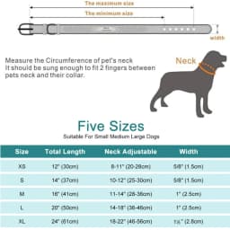 Engraved Leather Dog Collar Braided Persoanzled ID Tag Collars Nameplate Customized Pet Collar Leather Pet Walking Leash Leads