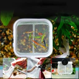 3D Fish Net Aquarium Square and Round Net with Suction Cup Telescopic Stainless Steel Handle Gear for Catching Fish Shrimp Tank