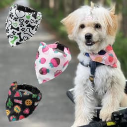Cute Print Cat Dog Collar with Bandanas for Small Dogs Yorkshire Chihuahua Puppy Triangular Bandage Pet Accessories Supplies