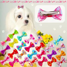10/20Pcs Dot Pet Grooming Hair Clips Dog Cat Bows Hairpin Pet Girls Barrette for Small Dogs Supplies Pet Hair Grooming Acce