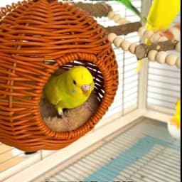 Bird Nest Fake Grass Handwoven Bird Cage House Parrot Canary Lovebird Parakeet Cockatiel Fake Hand-Woven Grass Hatching Bird Hut