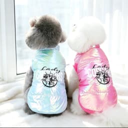Orange Pet Apparel For Small Medium Large Dogs Funny Autumn Winter Cat Corgi French Bulldog Yorkie Hoodie Clothes XS 6XL Stuff