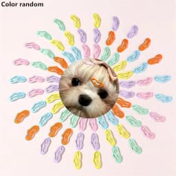 5/10/20pcs Dog Hair Clips Multicolor Barrettes Small Bone Snap Hair Clips for Dog Cat Pet Grooming Bows Pet Hair Accessories