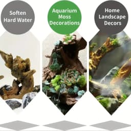 1/2PCS Authentic Natural Driftwood Aquarium Decor -Small Fish Tank Ornament, Genuine Wood Landscape with Bark Underwater Decor