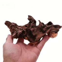 1/2PCS Authentic Natural Driftwood Aquarium Decor -Small Fish Tank Ornament, Genuine Wood Landscape with Bark Underwater Decor