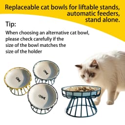 Oitabi 3PCS No Spill Cat Bowls Sets, Cat Food Bowl, Anti Whisker Fatigue Ceramic Cat Dishes Set, Shallow Wide Kitten Plates