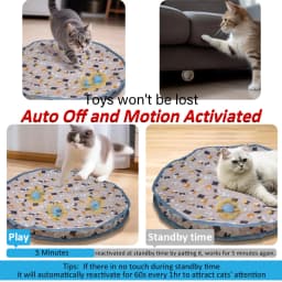 Cat Interactive Toys Ball Cover Set Fast Rolling in Pouch Hide and Seek Kitten Toy Motion Activated Interactive Cat Toy Indoor