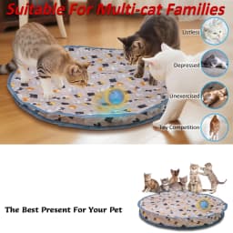 Cat Interactive Toys Ball Cover Set Fast Rolling in Pouch Hide and Seek Kitten Toy Motion Activated Interactive Cat Toy Indoor