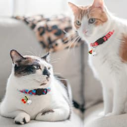 Fruit Pattern Cat Collars 7 Pack Cat Collars Fruit Pattern, Breakaway Buckle, Safety Reflective Kitten Collar with Bell & Charm
