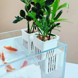 1 Pc Aquarium Hydroponic Planters Wall-Mounted Easy Install Fish Tank Decor with Hanging Basket for Greenery & Aesthetic Display