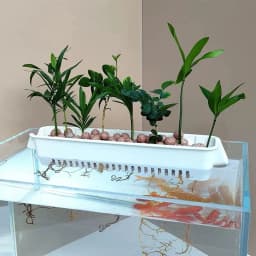 1 Pc Aquarium Hydroponic Planters Wall-Mounted Easy Install Fish Tank Decor with Hanging Basket for Greenery & Aesthetic Display