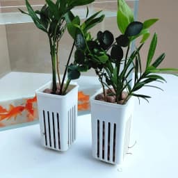 1 Pc Aquarium Hydroponic Planters Wall-Mounted Easy Install Fish Tank Decor with Hanging Basket for Greenery & Aesthetic Display