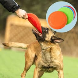 Dog Flying Disc Silicone Game Flying Discs Non-Slip Soft Anti-Chew Dog Toy Puppy Training Interactive Dog Supplies 15/19/23cm