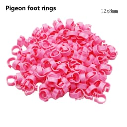 Poultry Leg Rings Chicken Foot Bands Adjustable Ratchet Clasp Snap Marking Tags for Duck Goose Pigeon Farm Feed Tool 25/100pcs
