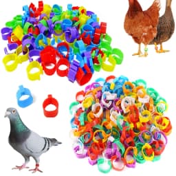 Poultry Leg Rings Chicken Foot Bands Adjustable Ratchet Clasp Snap Marking Tags for Duck Goose Pigeon Farm Feed Tool 25/100pcs