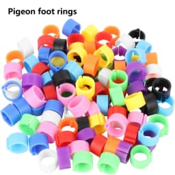 Poultry Leg Rings Chicken Foot Bands Adjustable Ratchet Clasp Snap Marking Tags for Duck Goose Pigeon Farm Feed Tool 25/100pcs