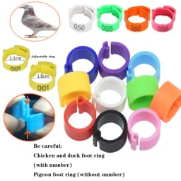 Poultry Leg Rings Chicken Foot Bands Adjustable Ratchet Clasp Snap Marking Tags for Duck Goose Pigeon Farm Feed Tool 25/100pcs