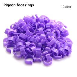 Poultry Leg Rings Chicken Foot Bands Adjustable Ratchet Clasp Snap Marking Tags for Duck Goose Pigeon Farm Feed Tool 25/100pcs