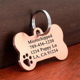 Bone Shaped Pet ID Tag Personalized Dog Cat Name Tags Anti-lost Free Engraving Collar Pendant Bone for Small Medium Large Pet