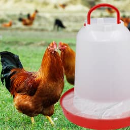 1/1.5/2/3/4/5/6/8/11/14/16/18L Automatic Chicken Water Bucket Plastic Poultry Rooster Hen Feeding Device Farm Water Supply
