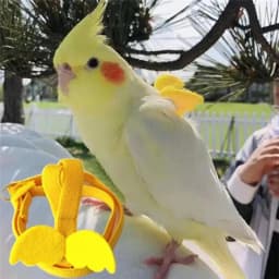 Parrot Training Harness Leash Set Anti-Bite Outdoor Flying Rope For Cockatiels Small Birds Supplies