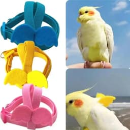 Parrot Training Harness Leash Set Anti-Bite Outdoor Flying Rope For Cockatiels Small Birds Supplies