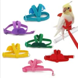 Parrot Training Harness Leash Set Anti-Bite Outdoor Flying Rope For Cockatiels Small Birds Supplies