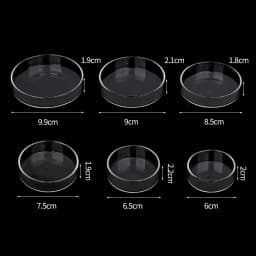 Shrimp Feeding Dish High Transparent Glass Feeding Dish Fish for Tank Clear Feeder Bowl Aquarium Fish Tank Reptiles Feeder