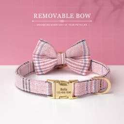Personalized Dog ID Collar Cute Bowtie Pet Collars Necklace Free Engraving Puppy Cat Buckle Collar For Small Medium Dogs Cats