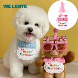 Make Your Pet's Birthday Special with This Pet Birthday Hat Scarf Set Adjustable, Cat/Dog Birthday Supplies Mini