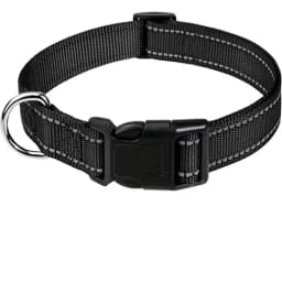 1PC Reflective Dog Collar with Buckle Adjustable Safety Nylon Collars for Small Medium Large Dogs