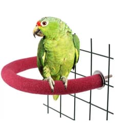 Parrot Sanding Stick Toy Bird Claw Grinding Stick Standing Bar Curved Corner Bird Cage90Degree U Modeling Clay Stick