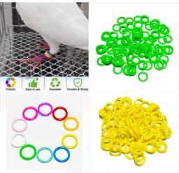 100pcs Pigeon Foot Rubber Ring Colorful Elastic Identification Rings For Carrier Pigeon Racing Pigeons Bird Appliances 8mm