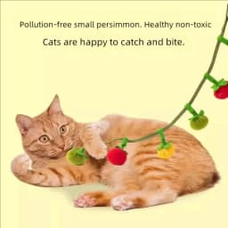 Durable Tomato Cat Teaser String Toy With Bell Self Play Interactive Kitten Toy Boredom Relief Essential Pet Supplies For Cats