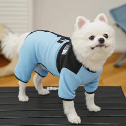 Pet Dog Clothes Soft Warm Fleece Dogs Jumpsuits Pet Clothing for Small Dogs Puppy Cats Clothes Chihuahua Yorkshire Costume Coat