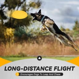 Dog Discs Toy Durable Flying Discs for Throwing Catching Durable for Aggressive Chewers Water Floating Dog Toys Training