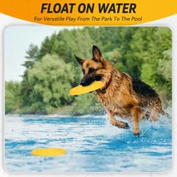 Dog Discs Toy Durable Flying Discs for Throwing Catching Durable for Aggressive Chewers Water Floating Dog Toys Training