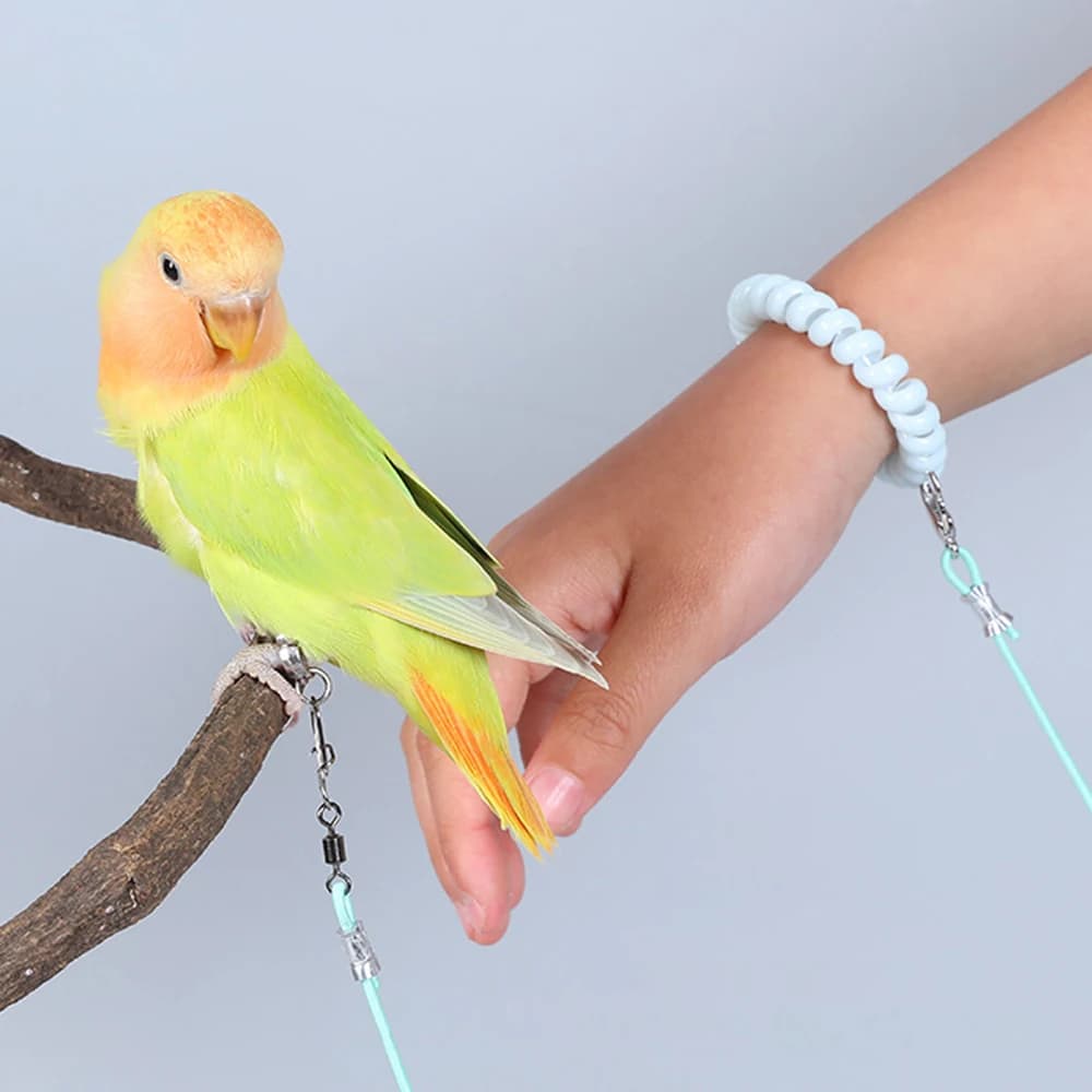 1PC Parrot Release Rope Bird Leash Ultra Light Not Harmful To Feet Pet Bird Parrot Flight Release Rope Bird Strap (No Foot Ring)