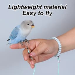 1PC Parrot Release Rope Bird Leash Ultra Light Not Harmful To Feet Pet Bird Parrot Flight Release Rope Bird Strap (No Foot Ring)