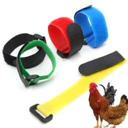 10pcs Anti Crowing Chicken Collar Crow Rooster Neck Belt Rooster Collar adjustable size Farm Chicken identification neck ring