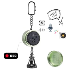 Parrot Toys to Teaching Training Bird Talking Coach Interactive Recording Playback Retell Electronic Voice Chewing Tearing Bell