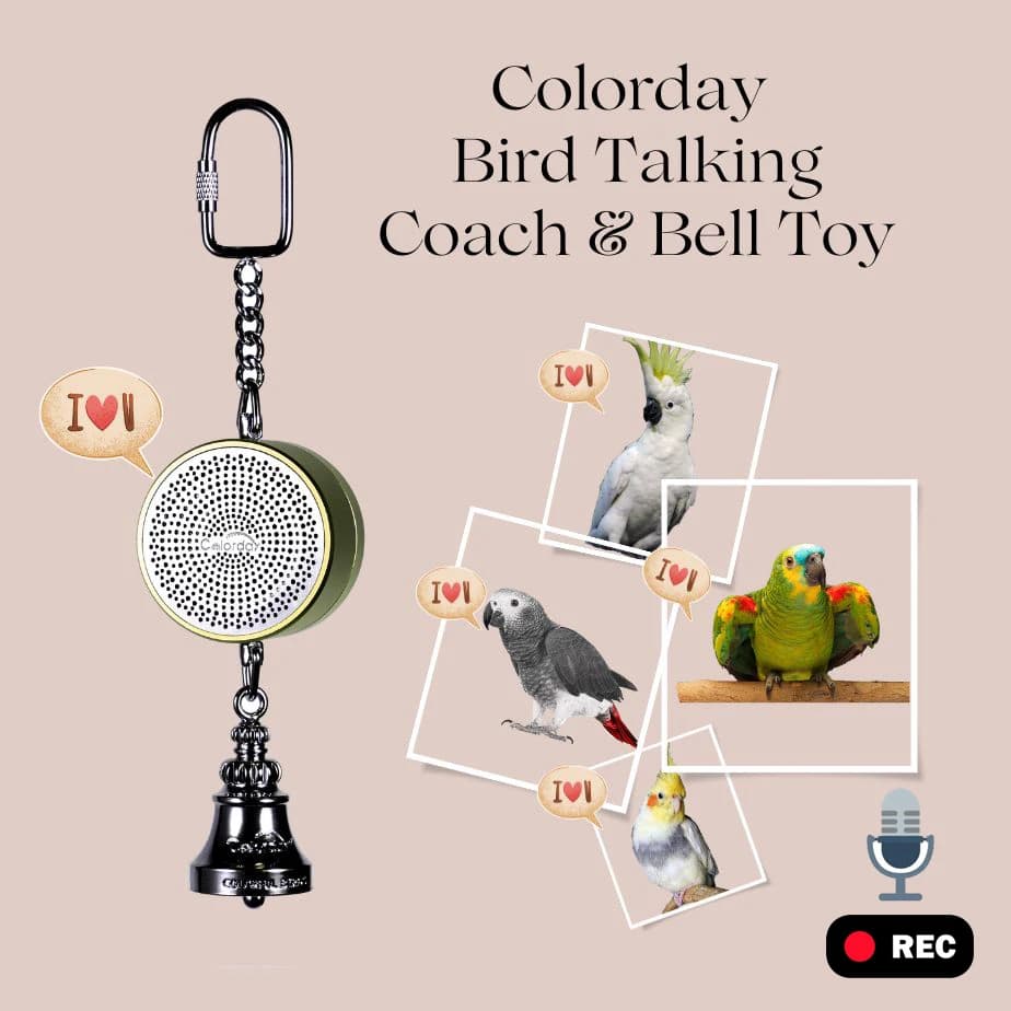Parrot Toys to Teaching Training Bird Talking Coach Interactive Recording Playback Retell Electronic Voice Chewing Tearing Bell