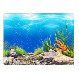 Background for Aquarium 3d Sticker Poster Fish Tank Aquarium Background accessories Decoration Ocean Plant Aquascape Painting