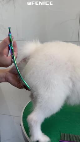 Fenice 7.25 Inch Professional Diamonds Screw Curved Chunker Scissors Pet Grooming Shears JP440C Thinner Shears for Dogs