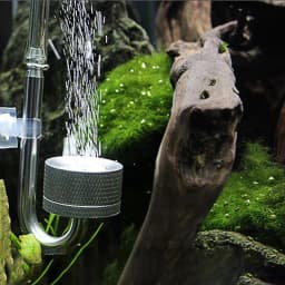 CO2 Generato With Suction Cup Fish Tank Bubble Atomizer Aquarium Accessoires For Aquatic Plant Growth Aquarium CO2 Diffuser