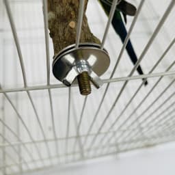 10/15/20cm Birds Accessories Equipment for Parrots Supplies Pet Raw Wood Tree Branch Stand Rack Perches Chew Bite Toys Stick
